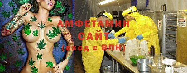 мет Новозыбков