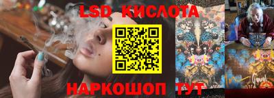прущие грибы Донской