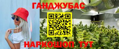 прущие крисы Апшеронск