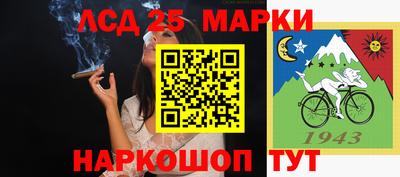 прущие грибы Донской
