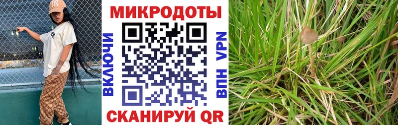 Галлюциногенные грибы мухоморы Кизилюрт