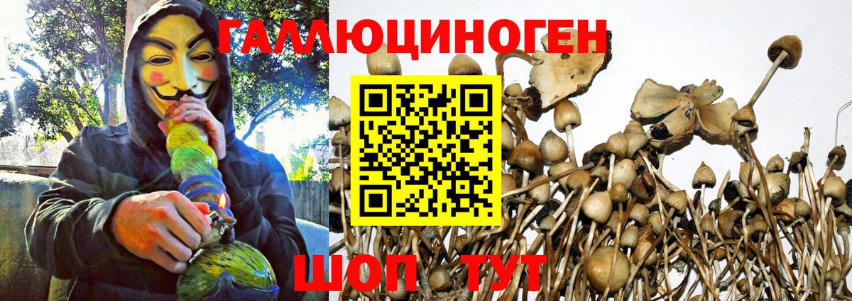 Псилоцибиновые грибы ЛСД Кизилюрт