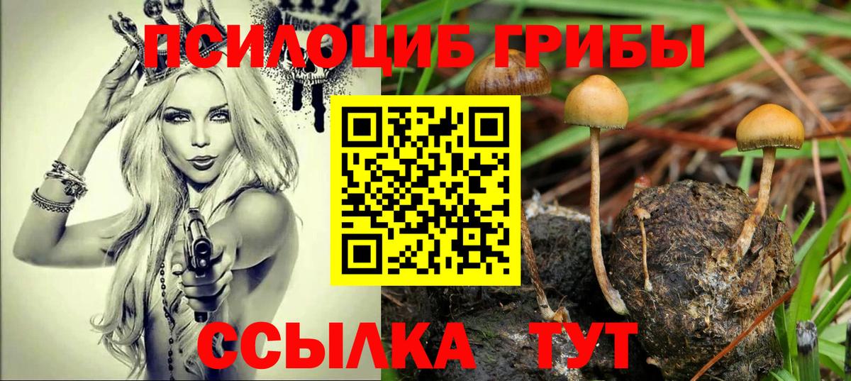 Каннабис  Плюхи  Круглые  МДМА  Мефедрон  Кокаин  Кизилюрт  Вход с VPN 