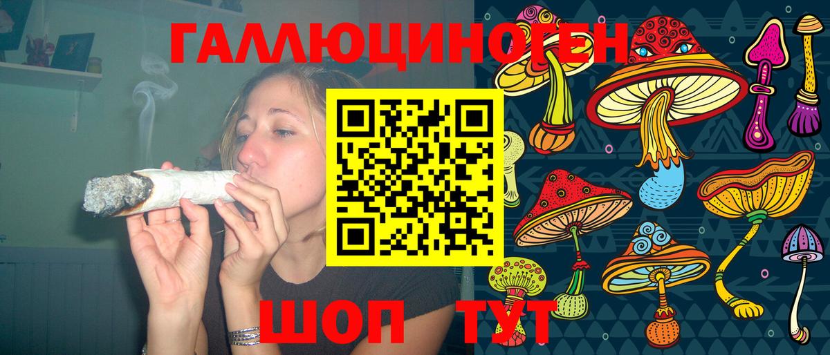 Галлюциногенные грибы GOLDEN TEACHER  Вход с VPN  Кизилюрт 