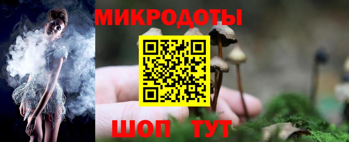 Псилоцибиновые грибы Magic Shrooms  Кизилюрт 