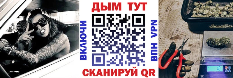 как найти закладки  Кизилюрт  мега как войти  Бошки марихуана конопля 